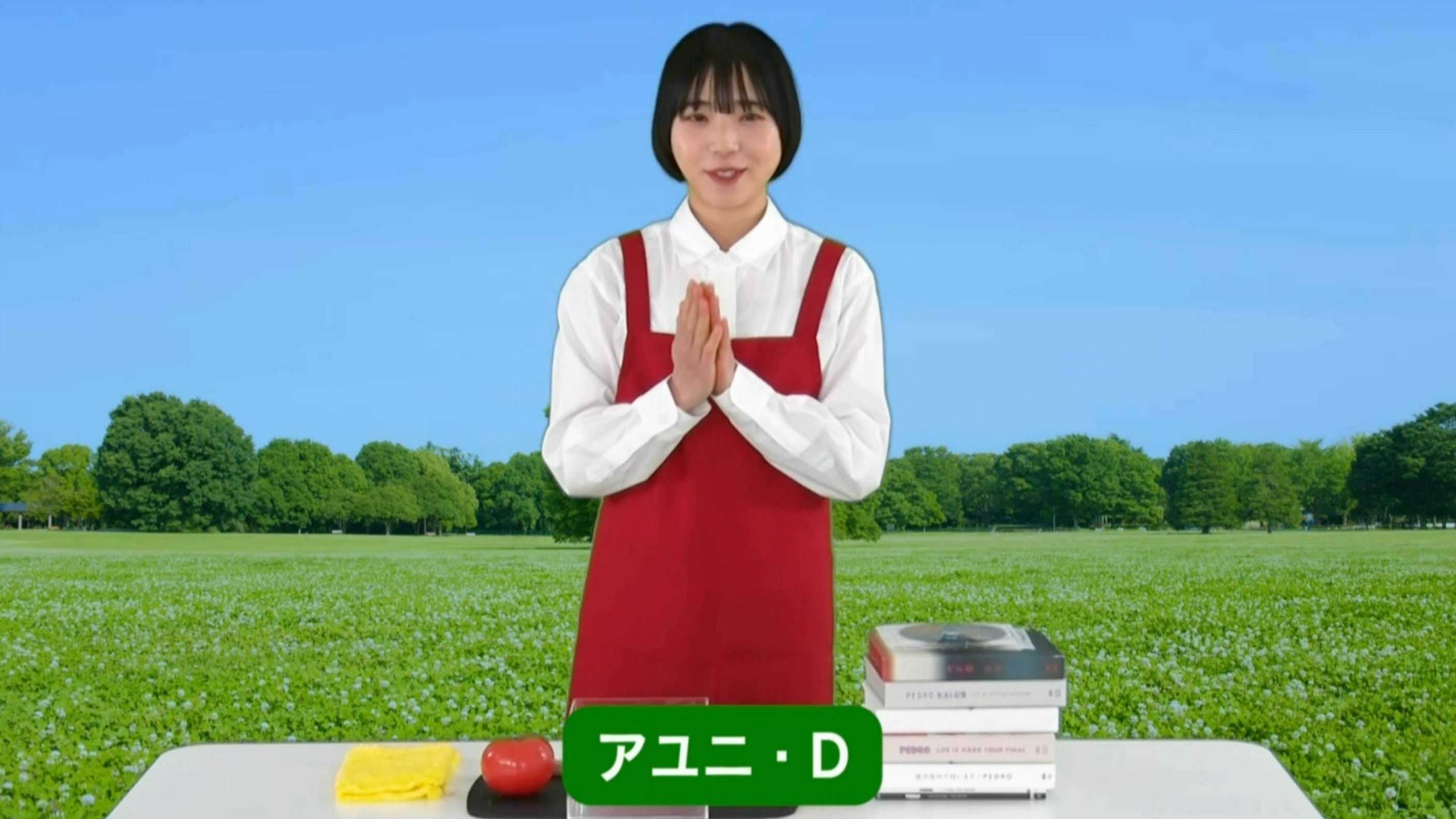PEDRO セット アユニ・D Amazon.co.jp: PEDRO 武道館公演 ぬいぐるみ BiSH アユニD : おもちゃ